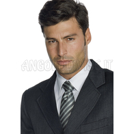 ISACCO CRAVATTA REGIM. GRIGIO 100 % POLYESTER